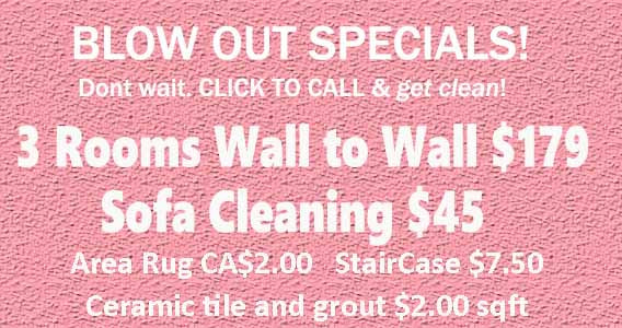 Our cleaning packages